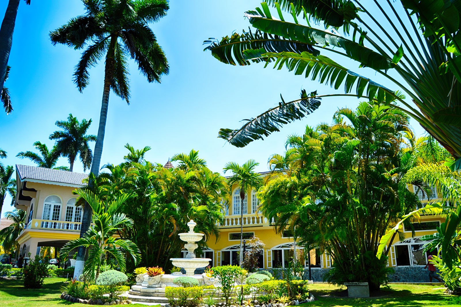 Royal palms over the sea at SeaGarden